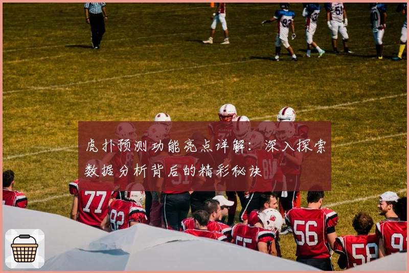 虎扑预测功能亮点详解：深入探索数据分析背后的精彩秘诀