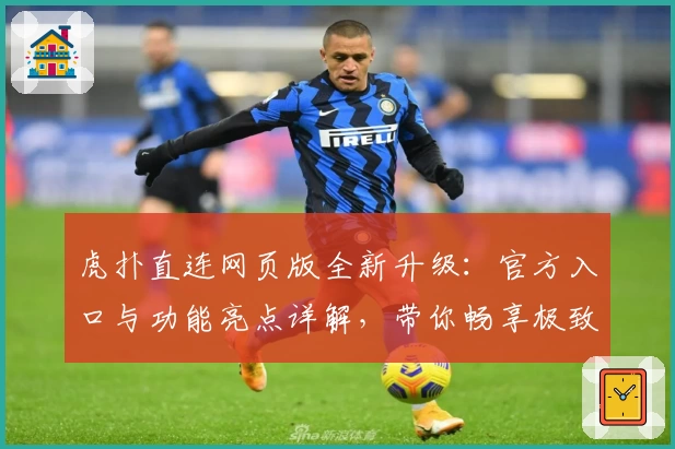 虎扑直连网页版全新升级：官方入口与功能亮点详解，带你畅享极致社区互动体验