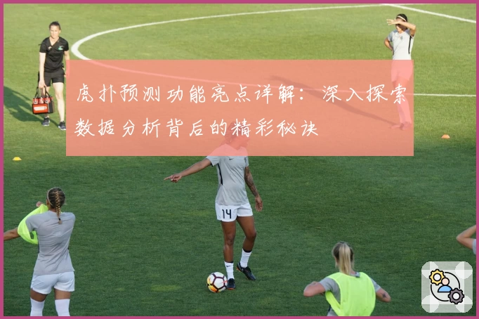 虎扑预测功能亮点详解：深入探索数据分析背后的精彩秘诀