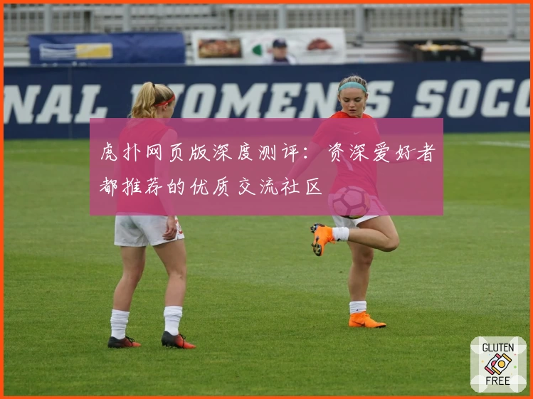 虎扑网页版深度测评：资深爱好者都推荐的优质交流社区