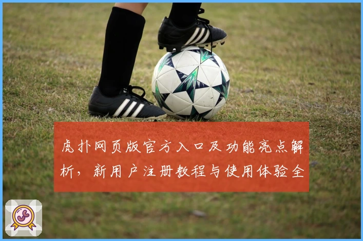 虎扑网页版官方入口及功能亮点解析，新用户注册教程与使用体验全揭秘